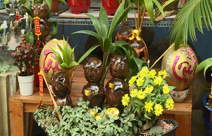 Độc đáo bonsai gáo dừa hình trâu đón Tết